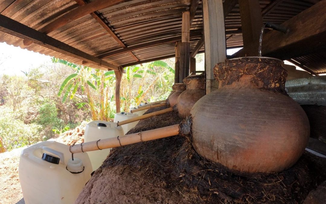 ¿Qué es el mezcal?