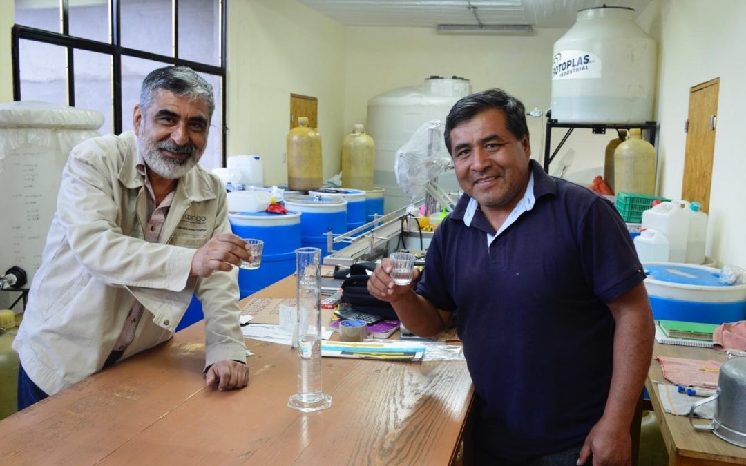 ¿Cómo distinguir un buen mezcal?